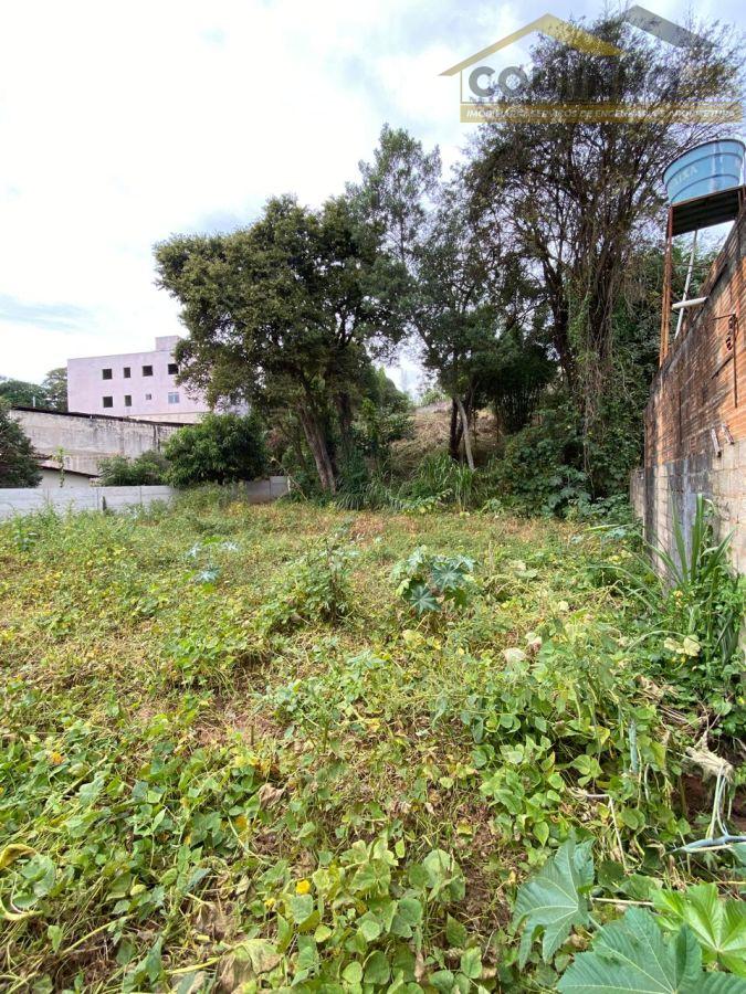 WhatsApp Image 2025-06-09 at 11.19.25 (2).jpeg